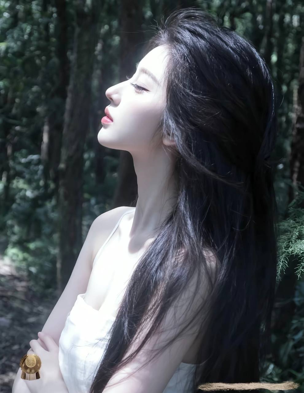 深巷算法纪